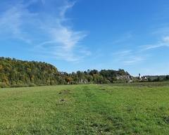 Im Herbst 2019 (8)